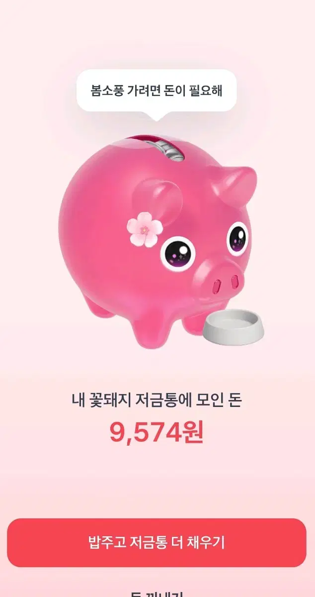 토스 꽃돼지